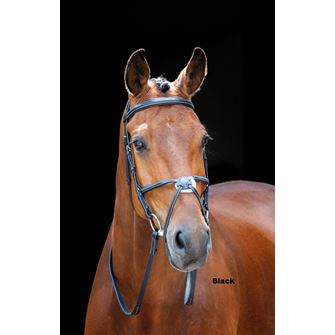 Shires Salisbury Brackley Grackle Bridle (Black)