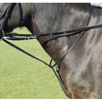 Windsor Equestrian Leather Market Harborough With Reins