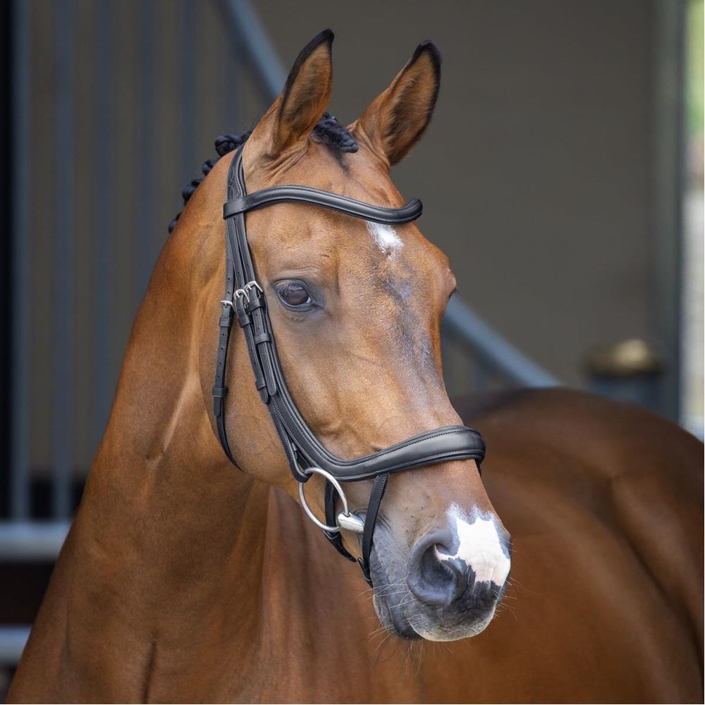 Shires Velociti LUSSO Ergonomic Curved Flash Bridle (Black)