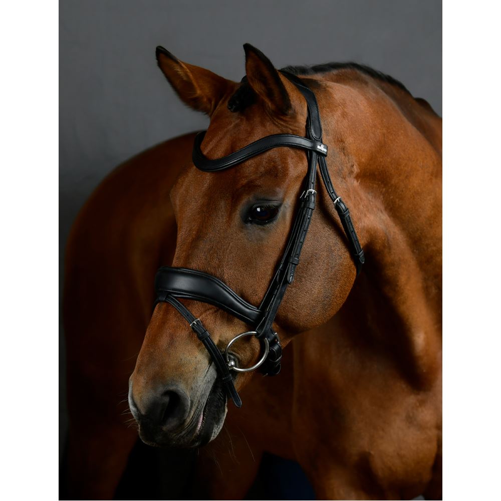 Weatherbeeta Collegiate Comfitec Opulux Padded Dressage Bridle (Black)