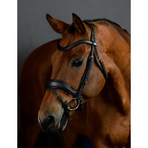 Weatherbeeta Collegiate Comfitec Opulux Padded Dressage Bridle (Black)