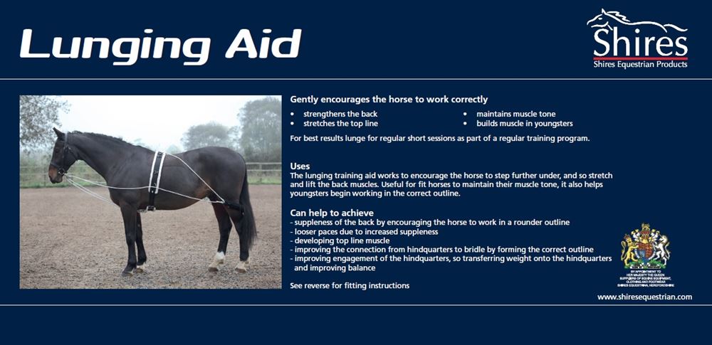 Shires Lunging Aid (Pessoa Style Training Aid)