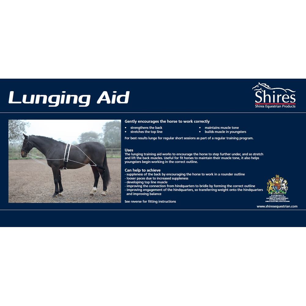 Shires Lunging Aid (Pessoa Style Training Aid)