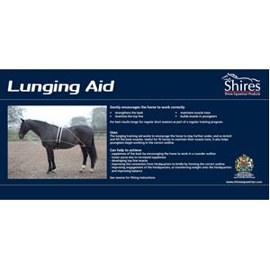Shires Lunging Aid (Pessoa Style Training Aid)