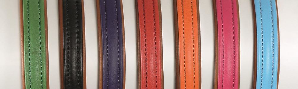 Shires Digby & Fox Padded Leather Dog Collar XL - XXL