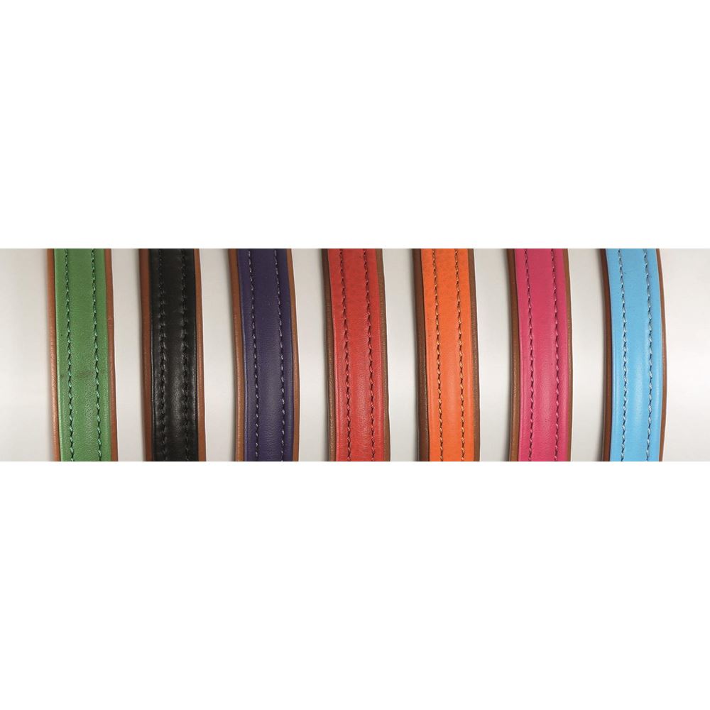 Shires Digby & Fox Padded Leather Dog Collar XL - XXL