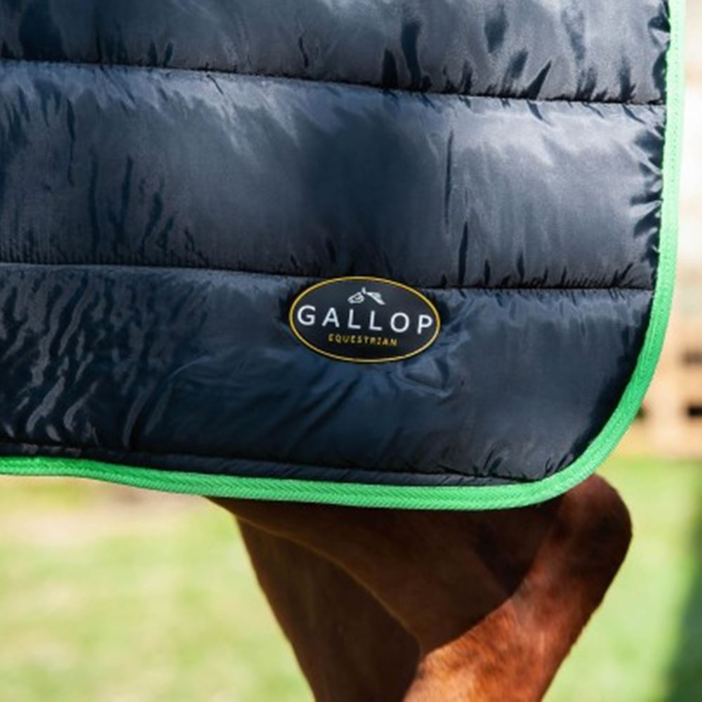 Gallop Trojan Dual 300 Stable Rug & Neck Set (Black/Green)