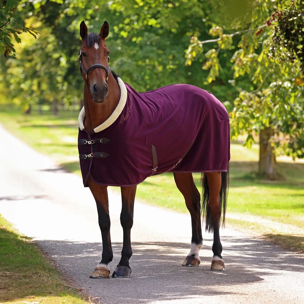 Shires Deluxe Fleece Rug (Black Cherry)