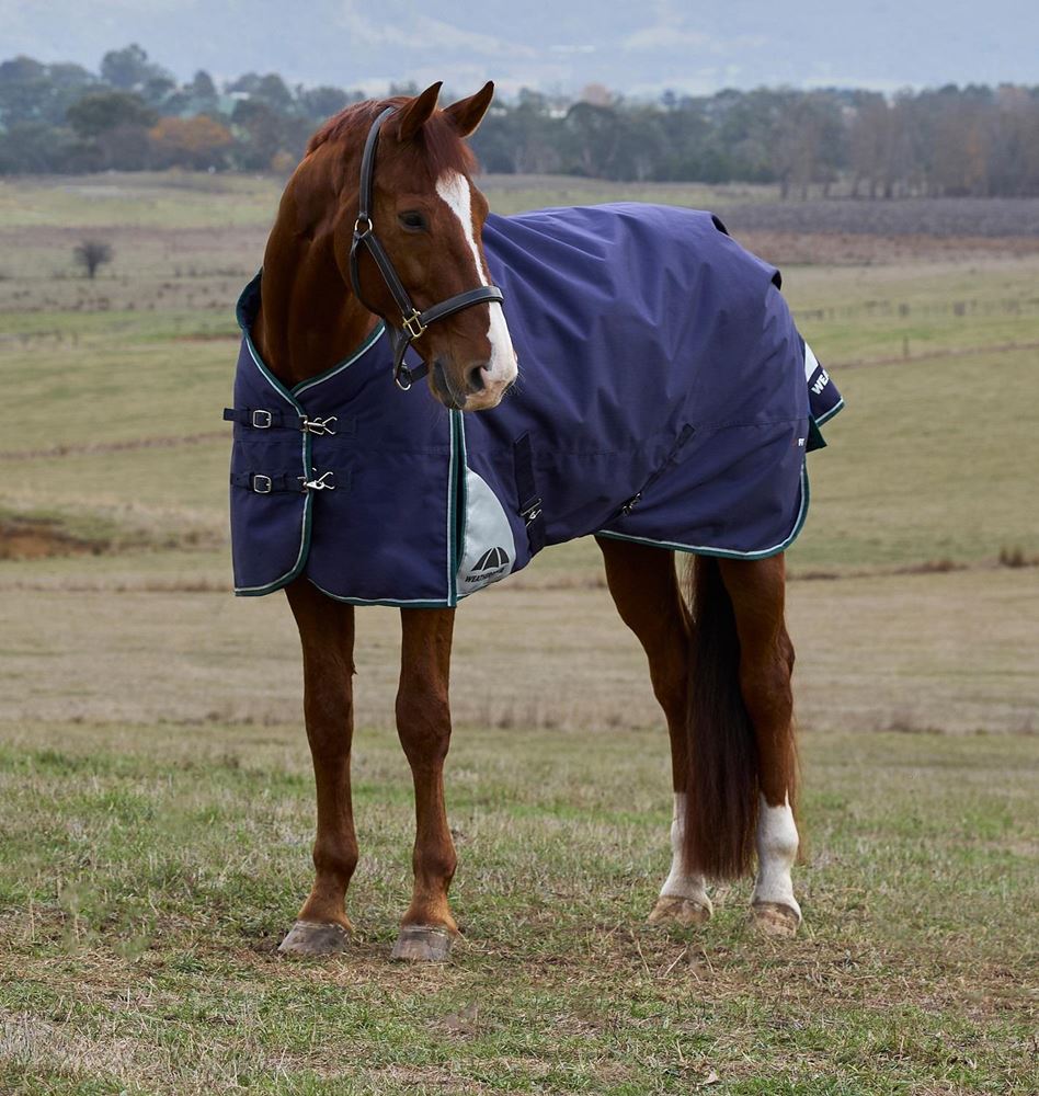 Weatherbeeta Comfitec Plus Dynamic Turnout Standard - 220g (Navy/Forest Green)