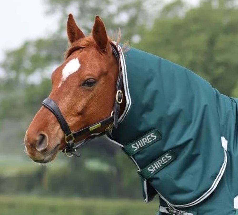 Shires Highlander Original 300 Neck Cover (Green)