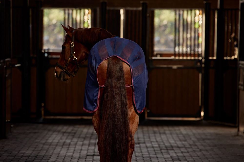 Weatherbeeta Scrim Cooler Standard Neck (NavyBurgundy)