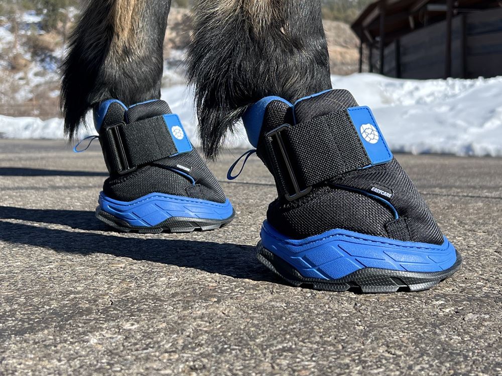 Easyboot RX Hoof Therapy Boot (Sizes 00-3)