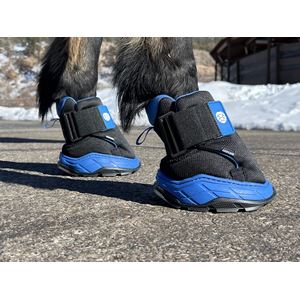 Easyboot RX Hoof Therapy Boot (Sizes 00-3)