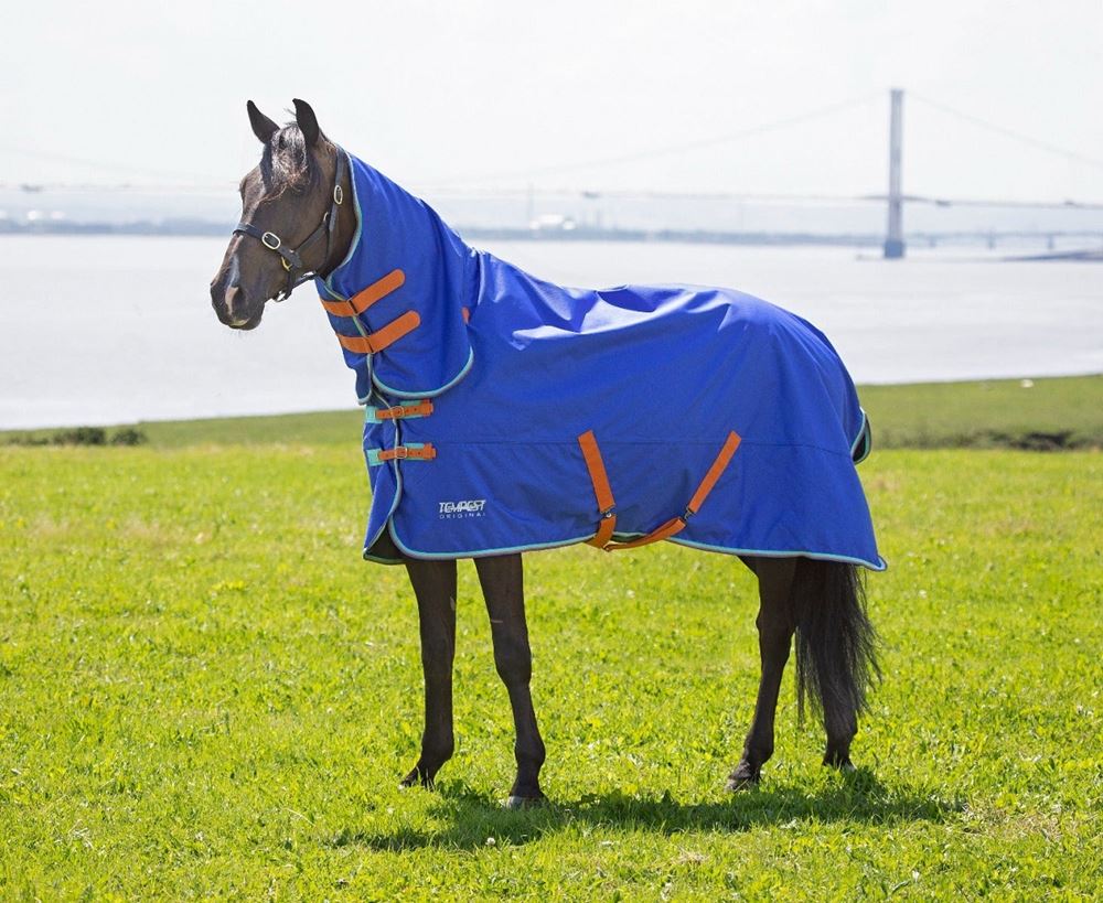 Shires Tempest Original 50g Combo Turnout Rug (Royal)
