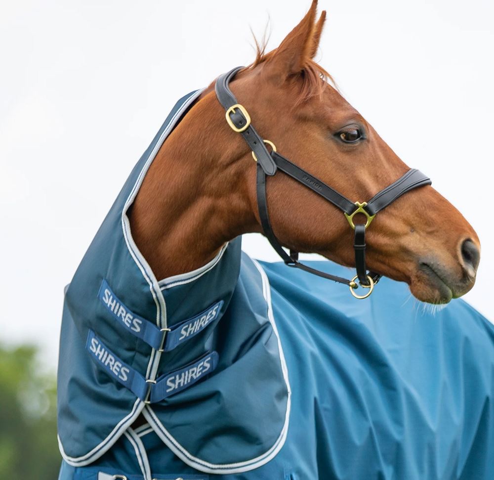 Shires Highlander Original 50 Neck Cover (Ocean)