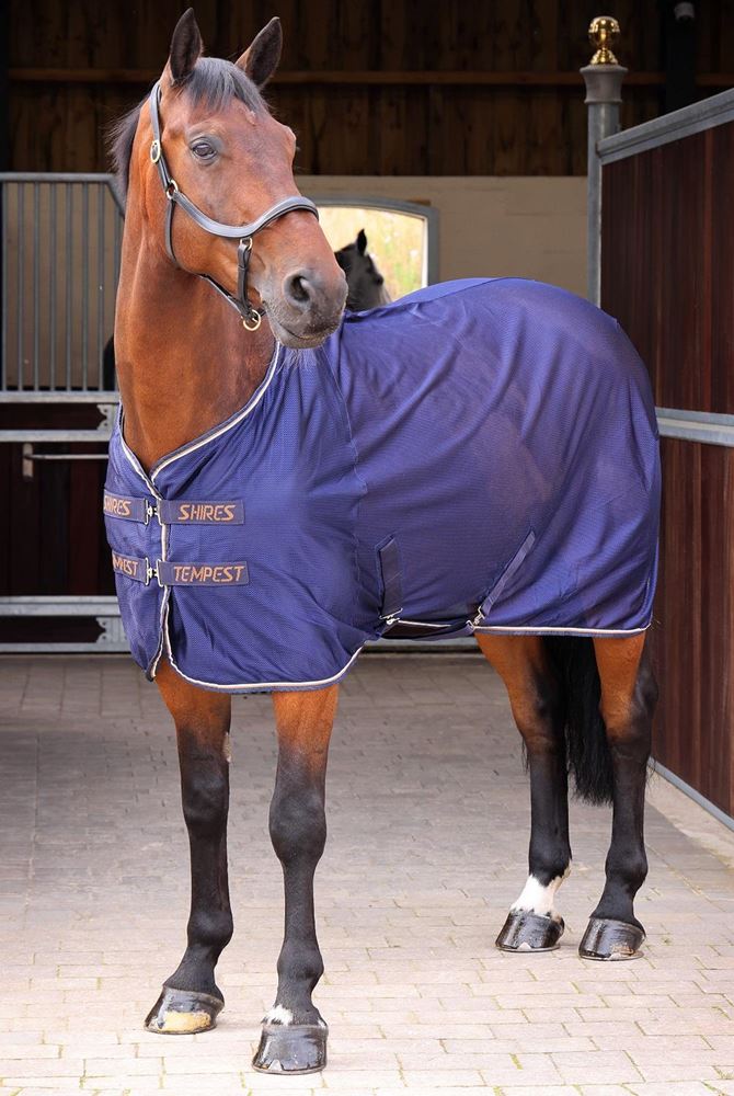 Shires Tempest Original Mesh Cooler (Ink)