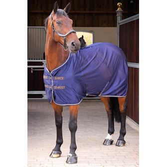 Shires Tempest Original Mesh Cooler (Ink)