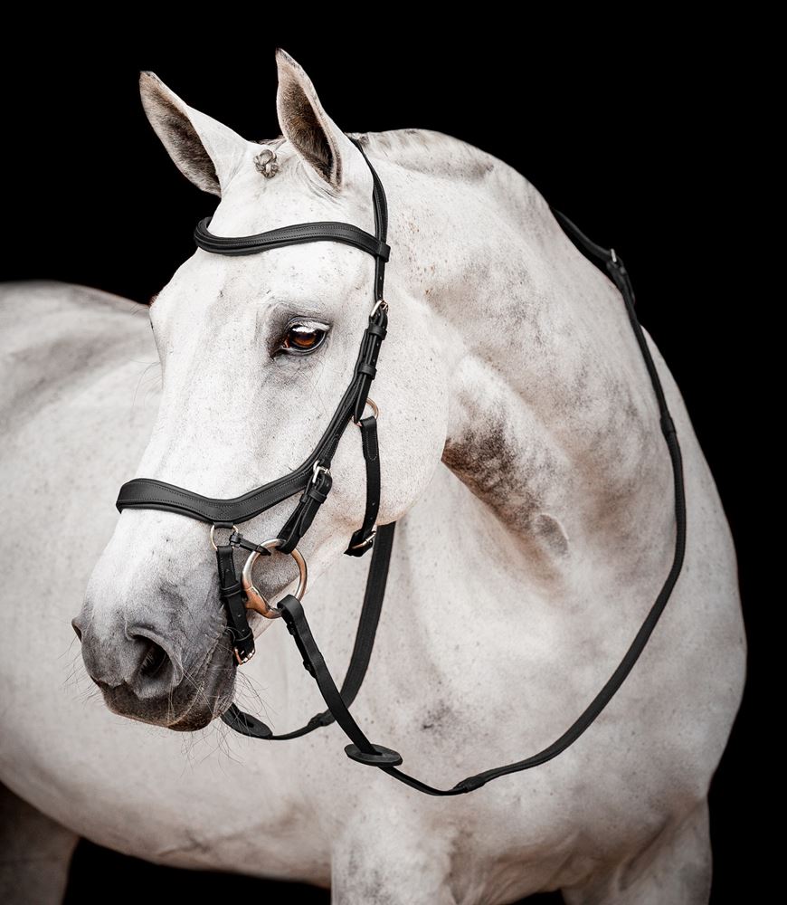Horseware Micklem 2 Competition Bridle (Black)