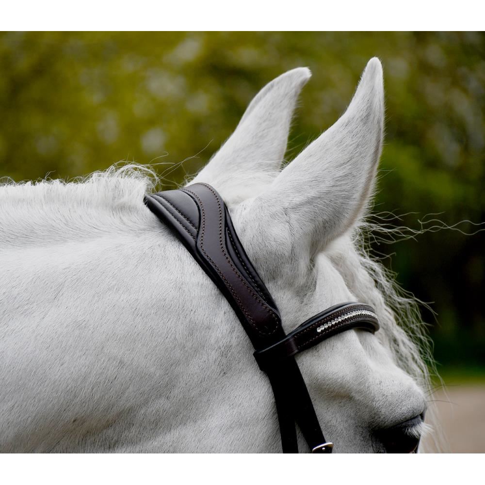 Rhinegold Luxe Anatomical Leather Flash Bridle