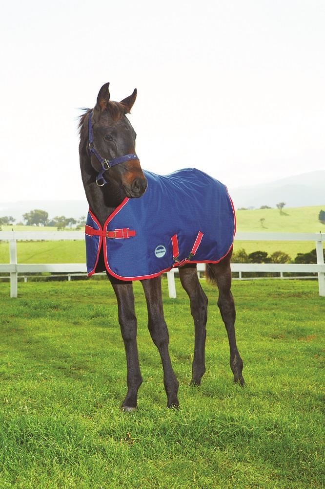 Weatherbeeta Original 1200D Foal Rug