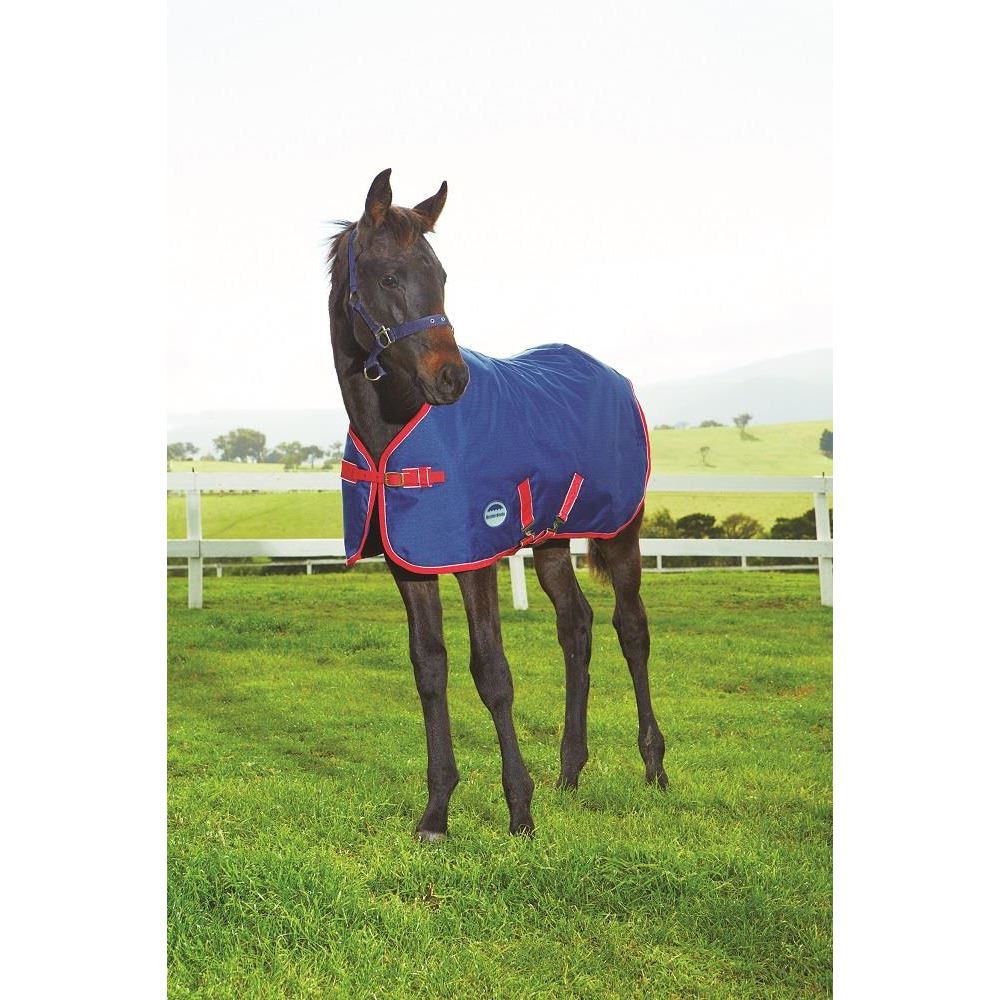 Weatherbeeta Original 1200D Foal Rug