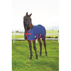 Weatherbeeta Original 1200D Foal Rug