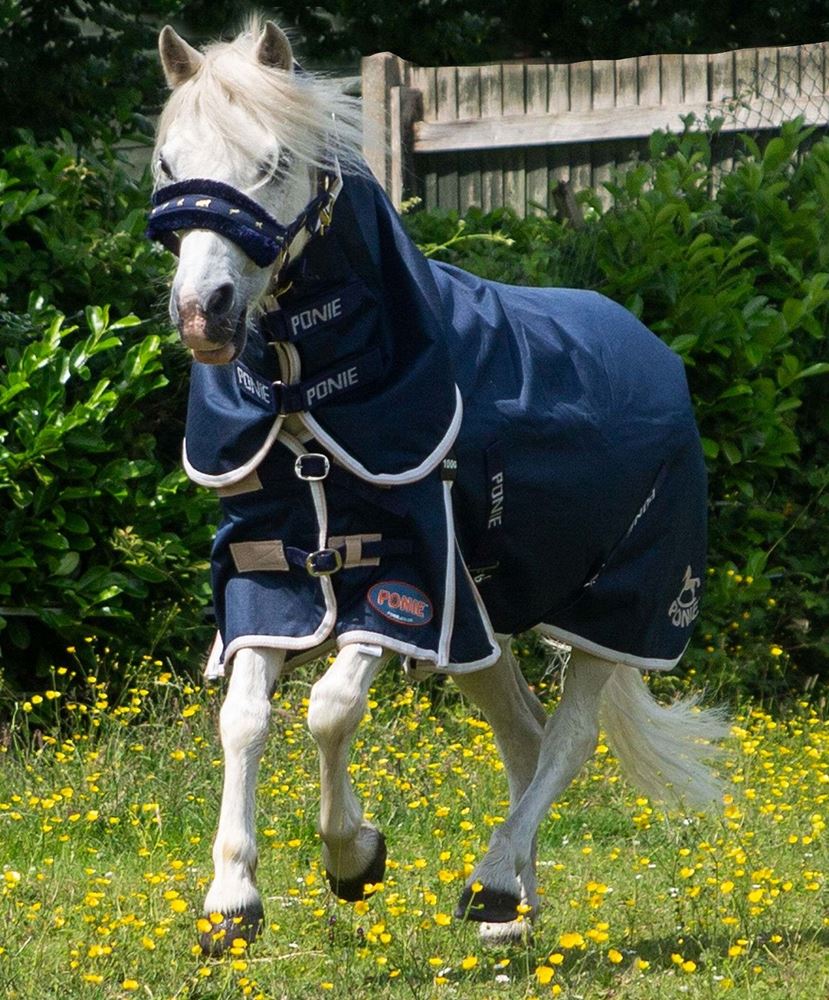 Gallop 600D PONIE 100g Duraproof Combo Turnout (Navy with Beige/White bindings)