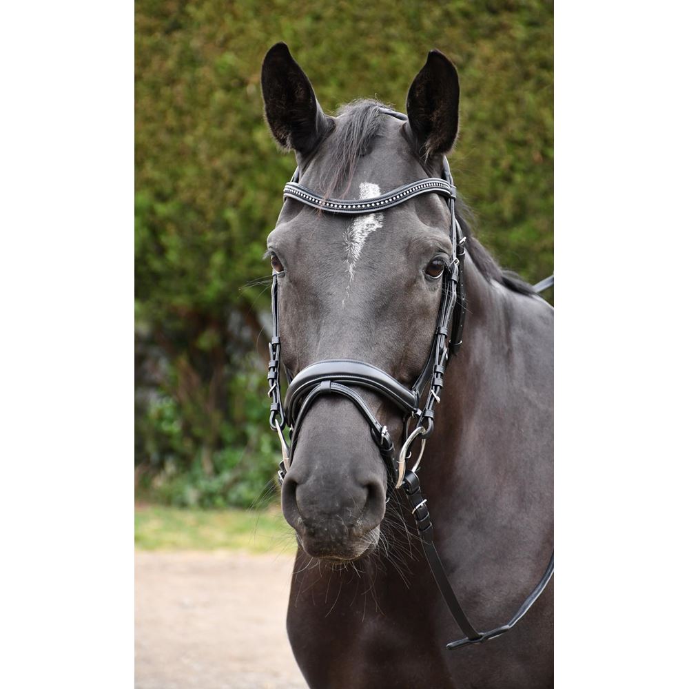 Rhinegold Italia Luxury Anatomical Flash Bridle