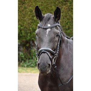 Rhinegold Italia Luxury Anatomical Flash Bridle
