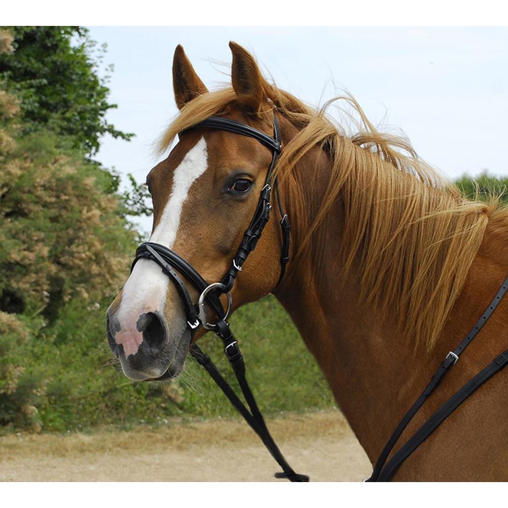 Windsor Leather Bridle With Flash Noseband