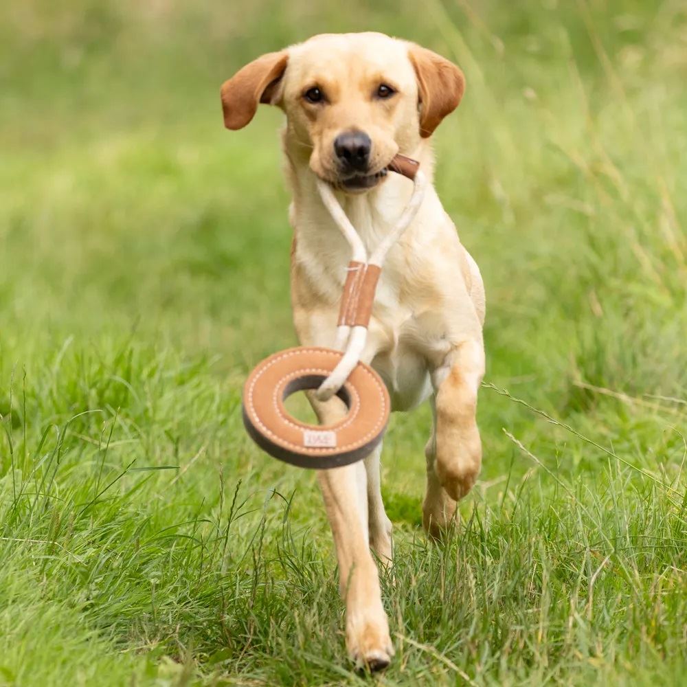 Benji & Flo Tug 'n' Play Toys - Rope with Ring
