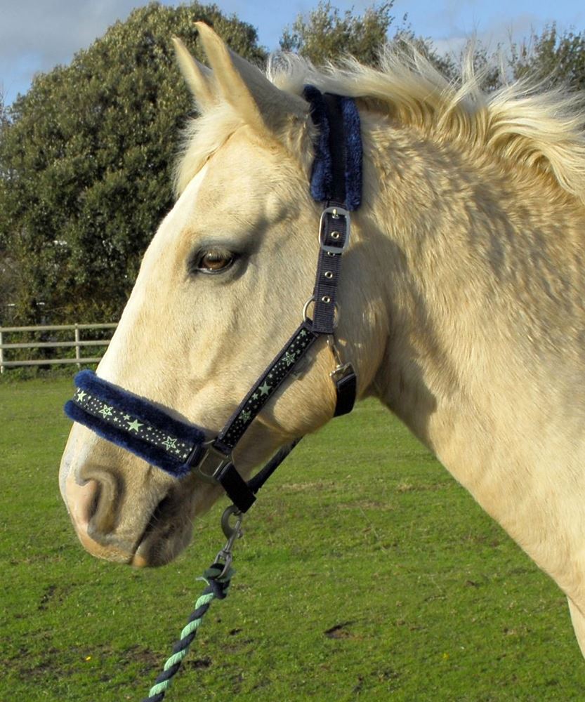 Rhinegold Crystal Star Headcollar & Lead Rope Set (Navy/Green)