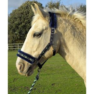 Rhinegold Crystal Star Headcollar & Lead Rope Set (Navy/Green)