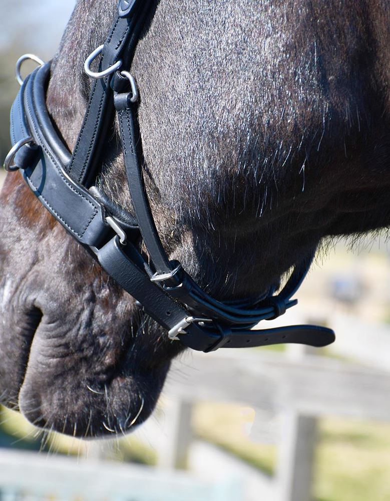 Rhinegold Leather Lunge Cavesson With Detachable Bit Attachment