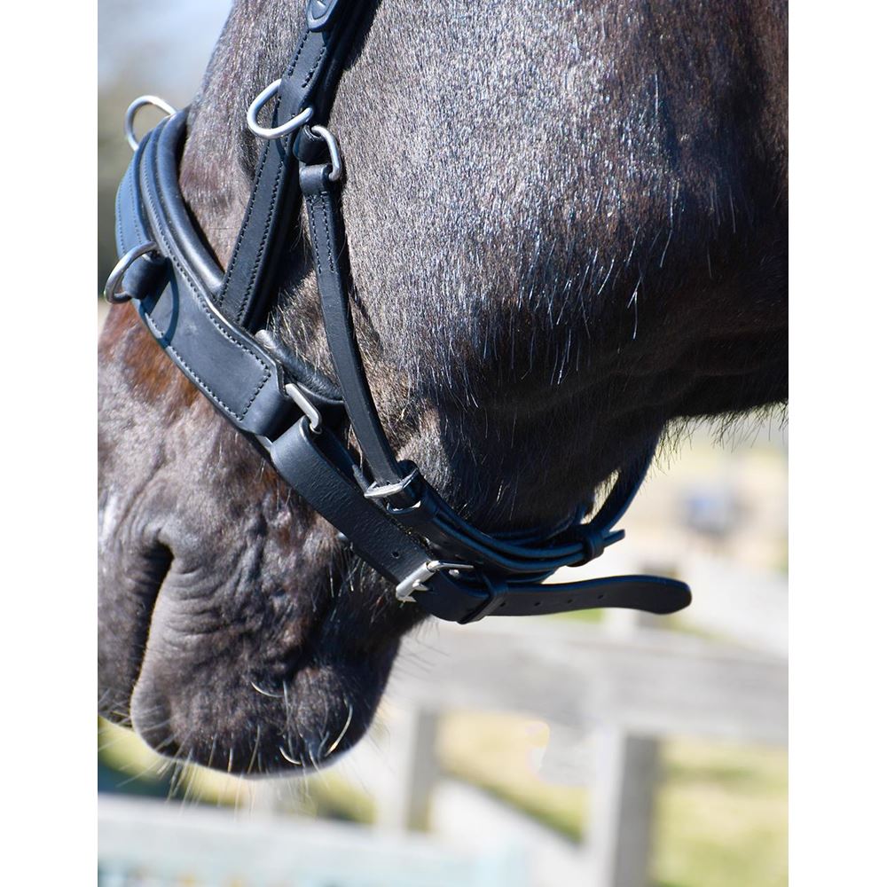 Rhinegold Leather Lunge Cavesson With Detachable Bit Attachment