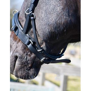 Rhinegold Leather Lunge Cavesson With Detachable Bit Attachment