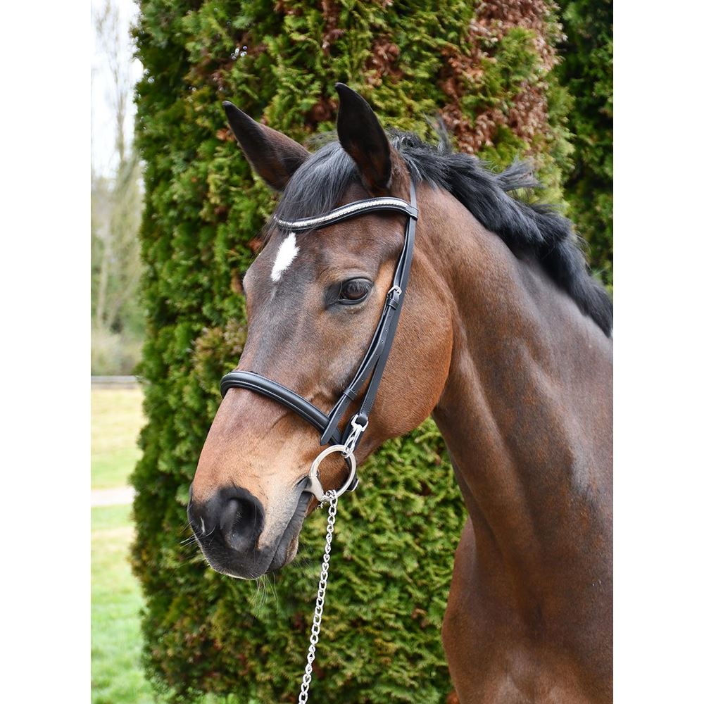 Rhinegold Veneto Leather Show Bridle With Clincher Browband (Black)