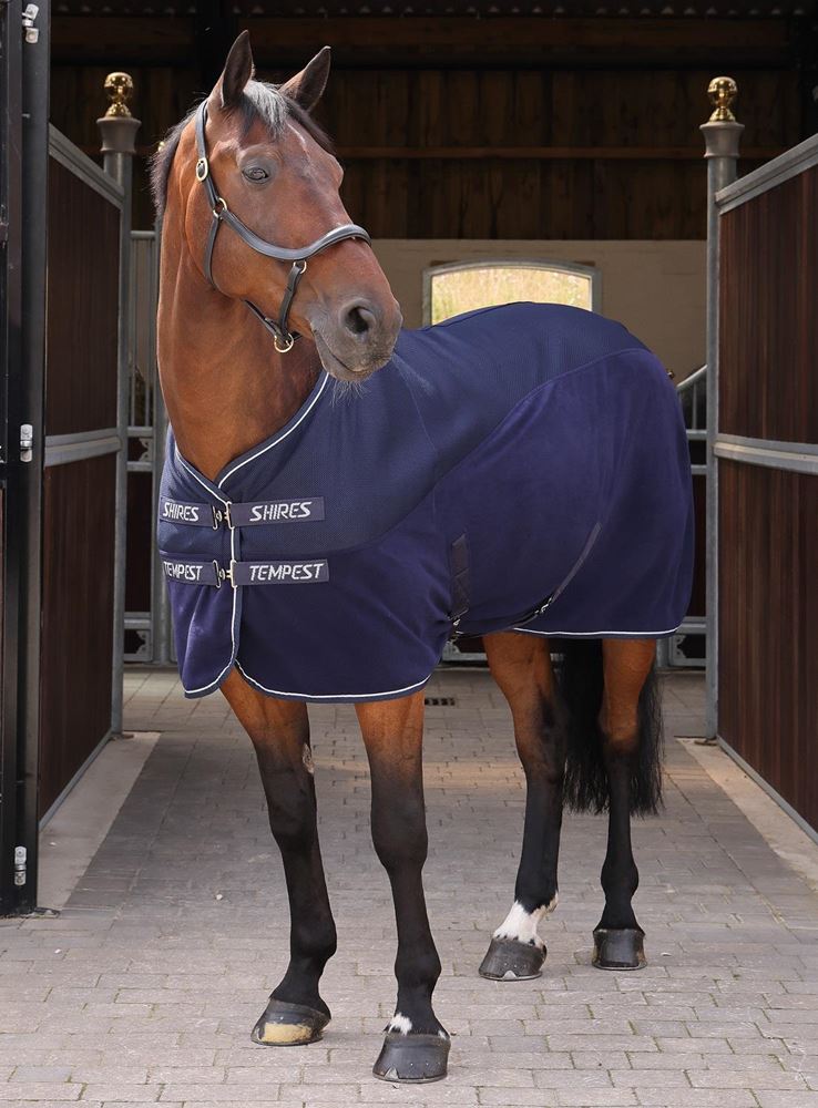 Shires Tempest Original All-Season Air Motion Cooler (Navy)