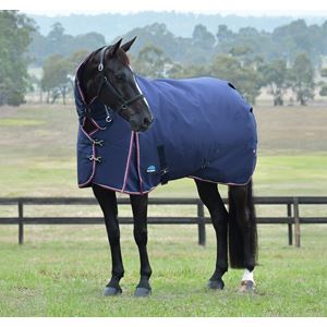 Weatherbeeta Comfitec Essential Turnout Combo - 360g (Navy/Burgundy)
