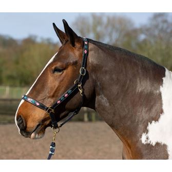 Gallop Premium Diamond Stitch Padded Leather Headcollar (Pink/Aqua)