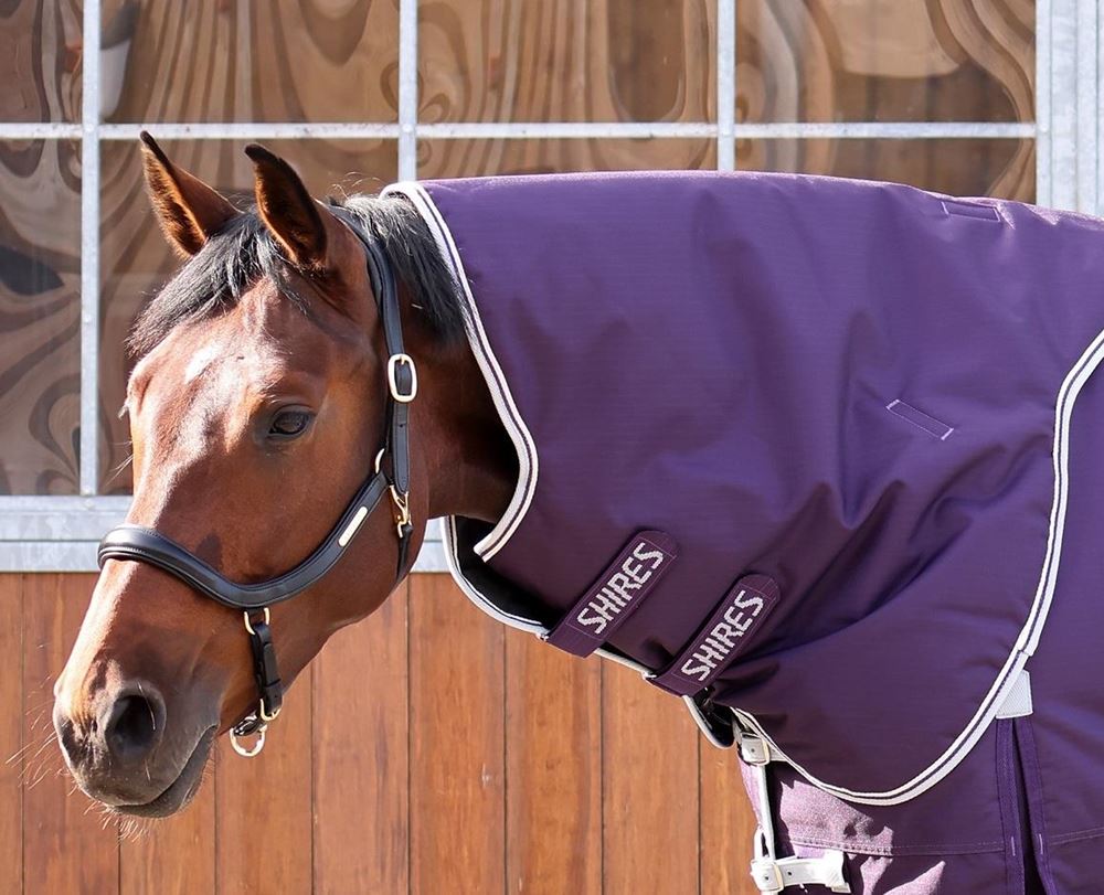 Shires Highlander Original 100 Neck Cover (Plum)