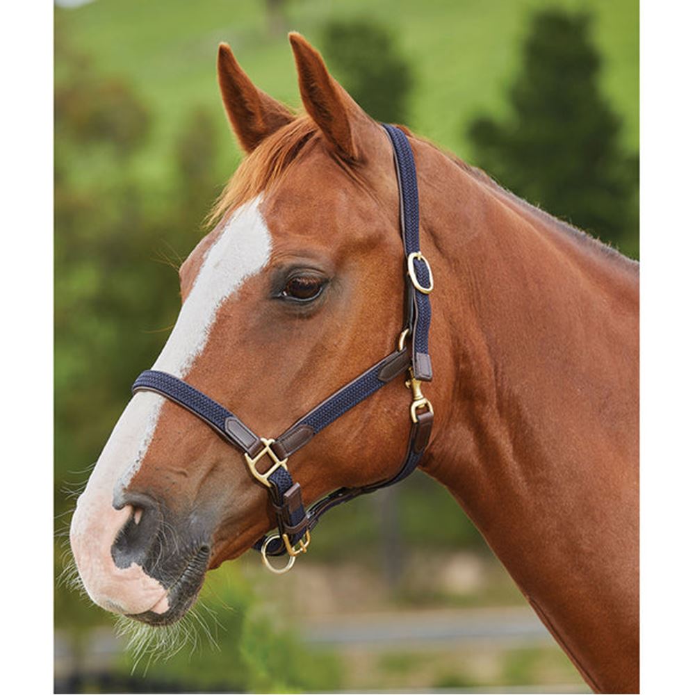 Kincade Braided Leather Headcollar