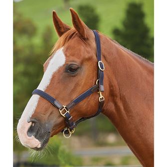 Kincade Braided Leather Headcollar (Navy)