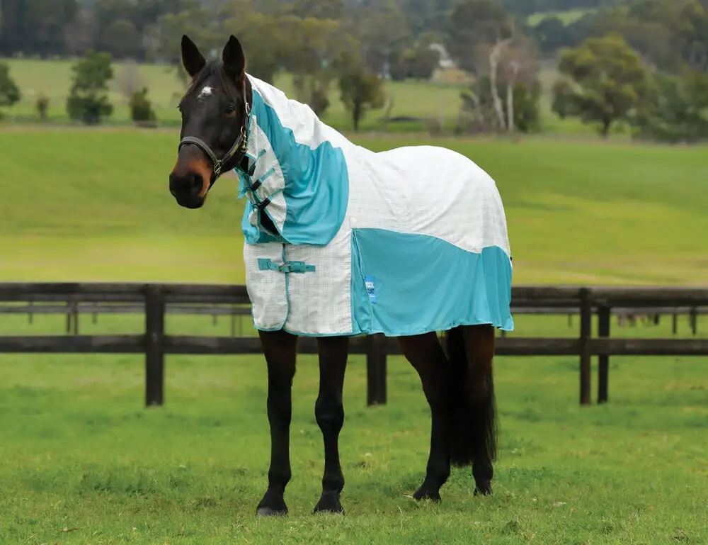 Weatherbeeta Kool Coat Cotton Airstream II Detach-A-Neck (White/Mint)