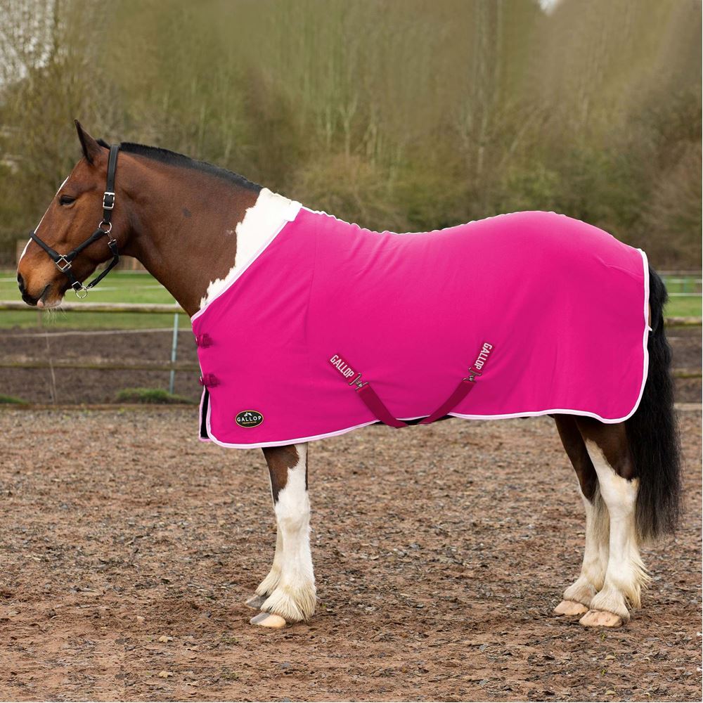 Gallop Jersey Cooler Rug (Pink)