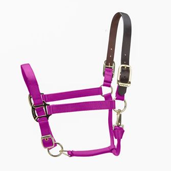 Shires ARMA Premium Adjustable FieldSafe Headcollar (Raspberry)
