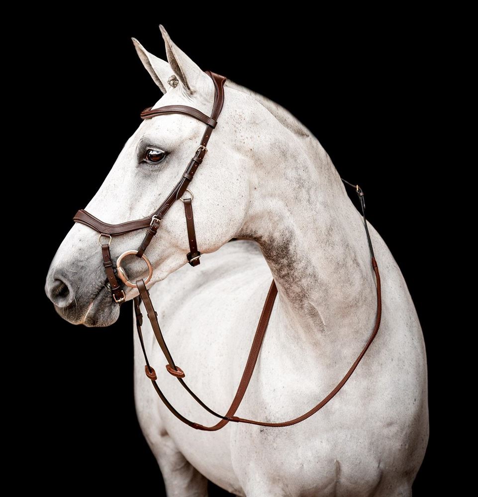 Horseware Micklem 2 Competition Bridle (Brown)