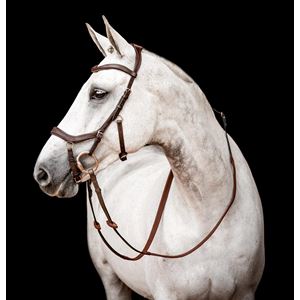 Horseware Micklem 2 Competition Bridle (Brown)