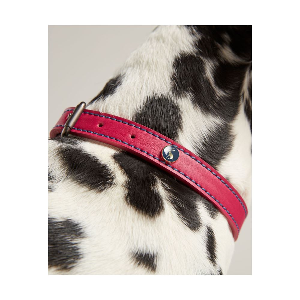 Joules Leather Dog Collar - Small
