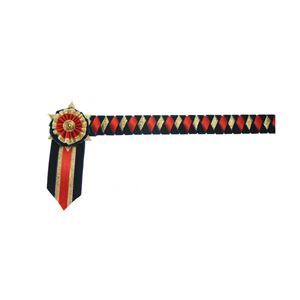 ShowQuest Boston Browband